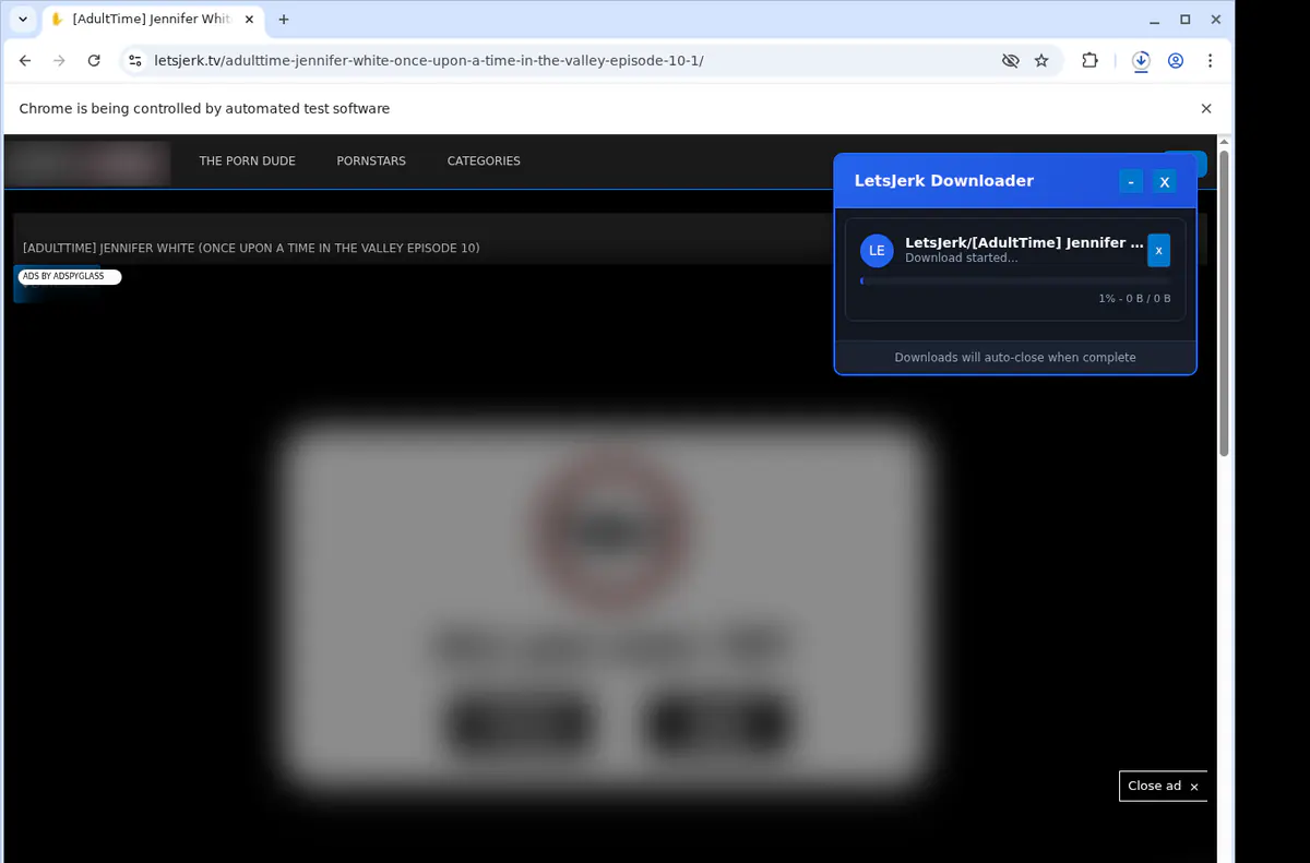 Letsjerk Video Downloader screenshot 2