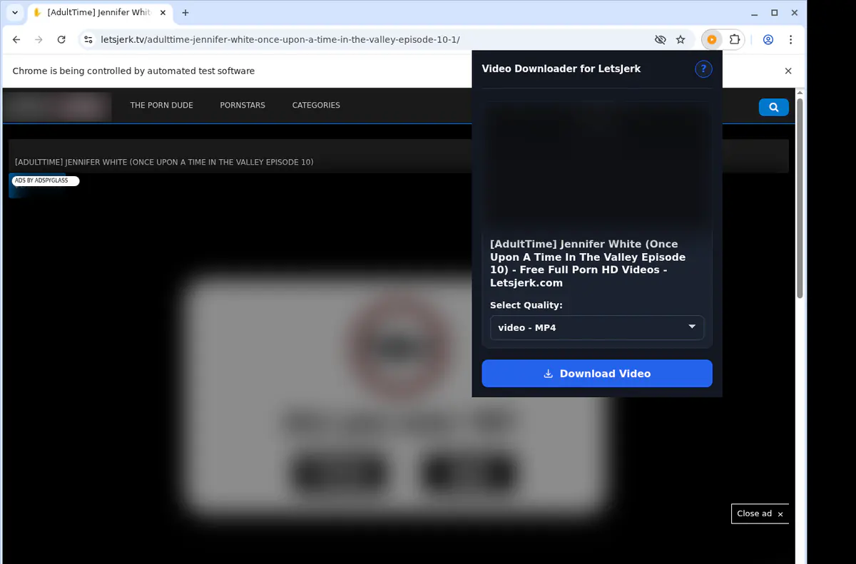 Letsjerk Video Downloader screenshot 3